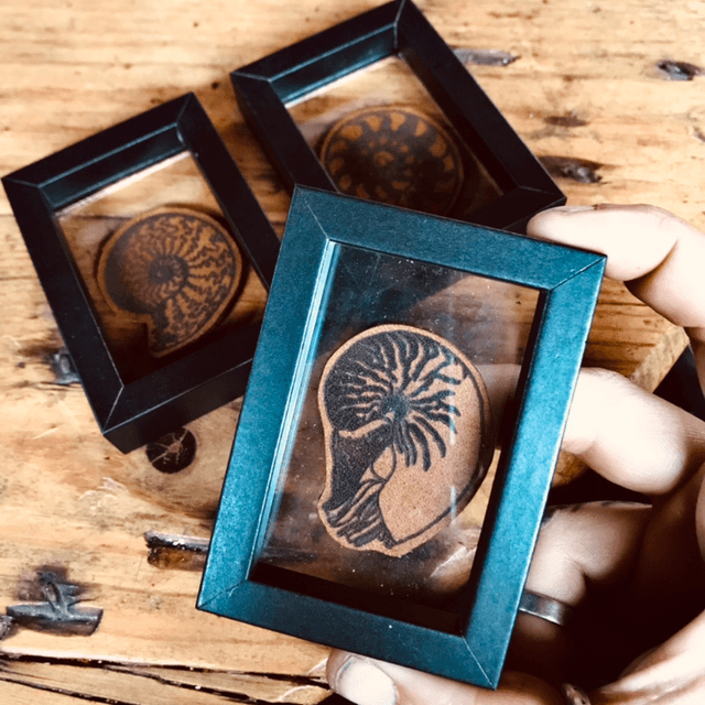 Triptyque nautiles 