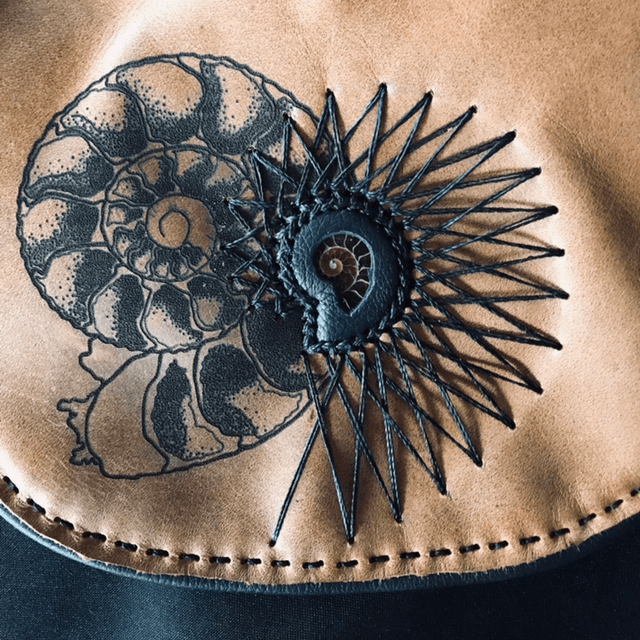 Sacs ammonite 