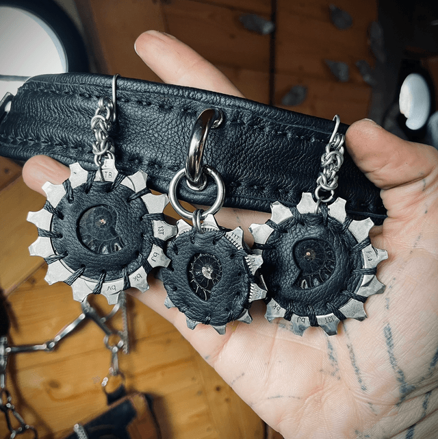 Parure black ammonites 