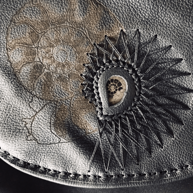 Sacs ammonite 