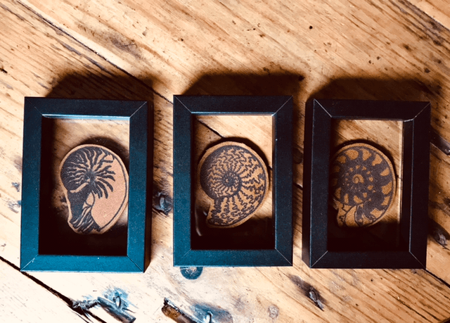 Triptyque nautiles 