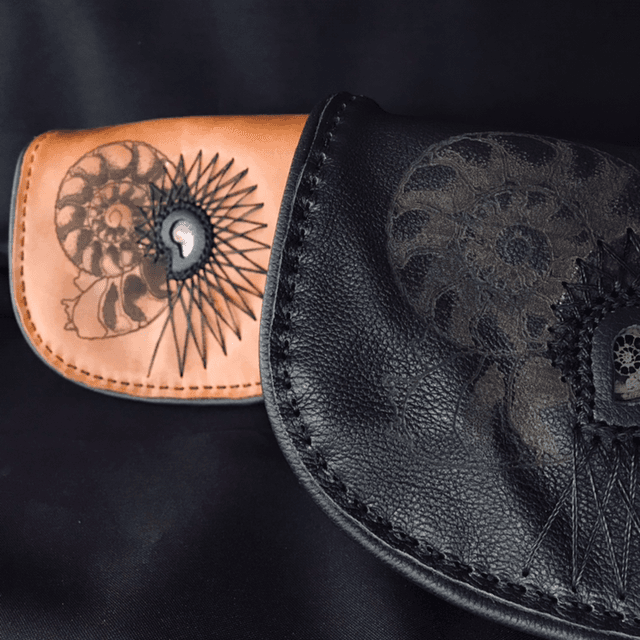 Sacs ammonite 